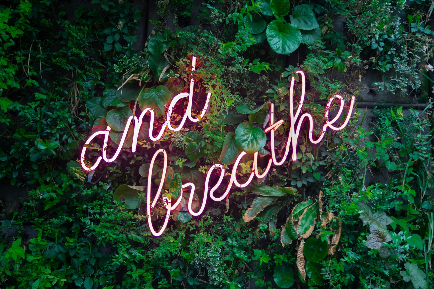 Finding ways to Exhale | AndreaJLee.com breathe